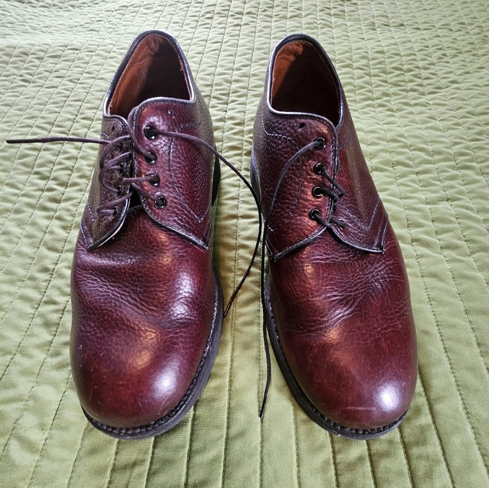 Alden Walking Shoes 👞